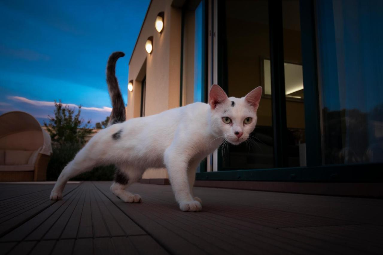 Sea Cats' Villas Sutivan ภายนอก รูปภาพ